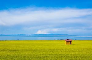 蓝天、白云、湖泊、草原、羊群……7月的青海湖