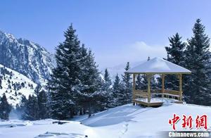 青海哈里哈图国家森林公园雪景美若人间仙境