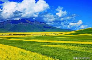 中国唯一能同时看到油菜花和雪山的地方，青海祁连山夏季旅游攻略