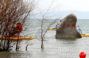 游中国最大内陆咸水湖 高原明珠青海湖