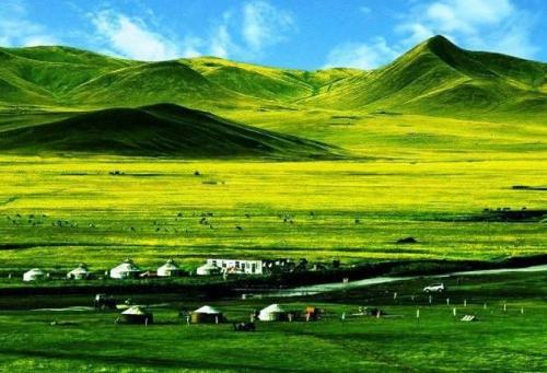 青海到底有多美？一篇文章让全世界走进青藏高原