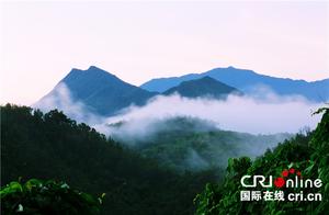 三江源国家公园和海南热带雨林国家公园今年将正式设立 开创面积最大、环境最美“世界之最”