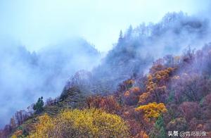 秋日的青海互助北山森林公园扎龙沟景区，秋色如画仙境一般