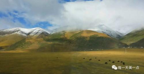 暑期旅行推二｜坐上火车去拉萨，青藏沿线美如画！