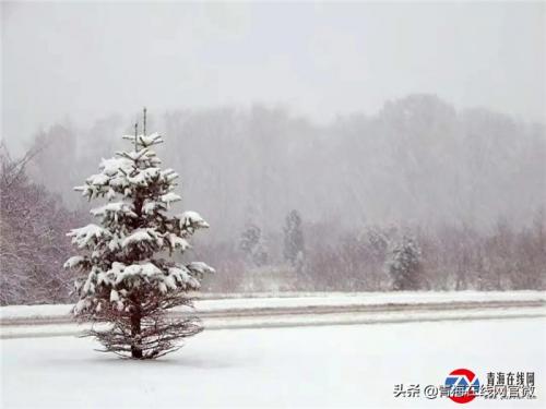 青海2021年的第一场雪景你看了吗？「图」