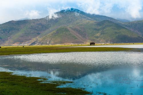 藏区除了雪山圣湖，还有同样迷人的高原湿地