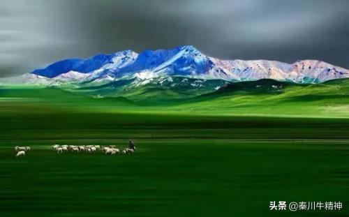 中国养羊世界第一，哪儿的羊肉最好吃