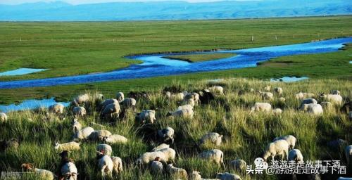 新疆自由行2：青海湖、原子城，一路向西，旷野、格桑花