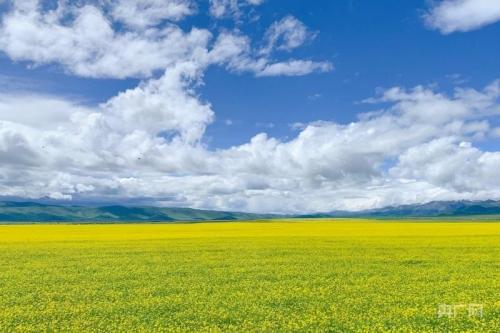青海绿色、有机和地理标志农产品数量累计认证1015个