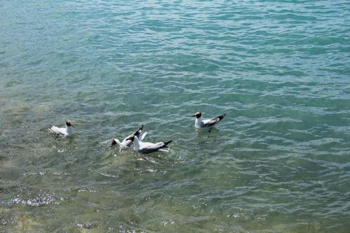 暑期自驾游青海湖，玩十大必去景点之一的二郎剑景区，攻略+摄影